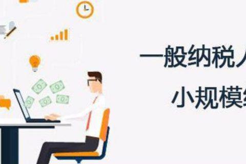 拉薩的一般納稅人和小規(guī)模納稅人納稅方式以及認定資格是什么？同內(nèi)地企業(yè)有區(qū)別嗎？