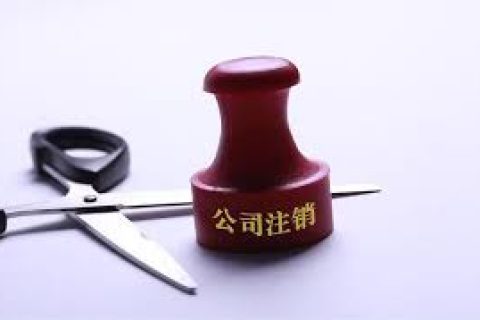 拉薩注銷一個(gè)公司，需要去幾個(gè)部門？整體時(shí)間需要多久？大概流程是怎樣的？