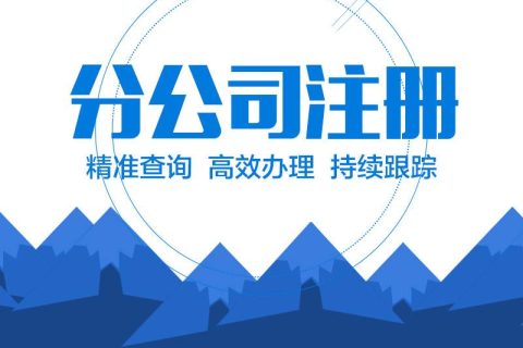 在拉薩設(shè)立分公司的流程、所需材料、辦理時(shí)間