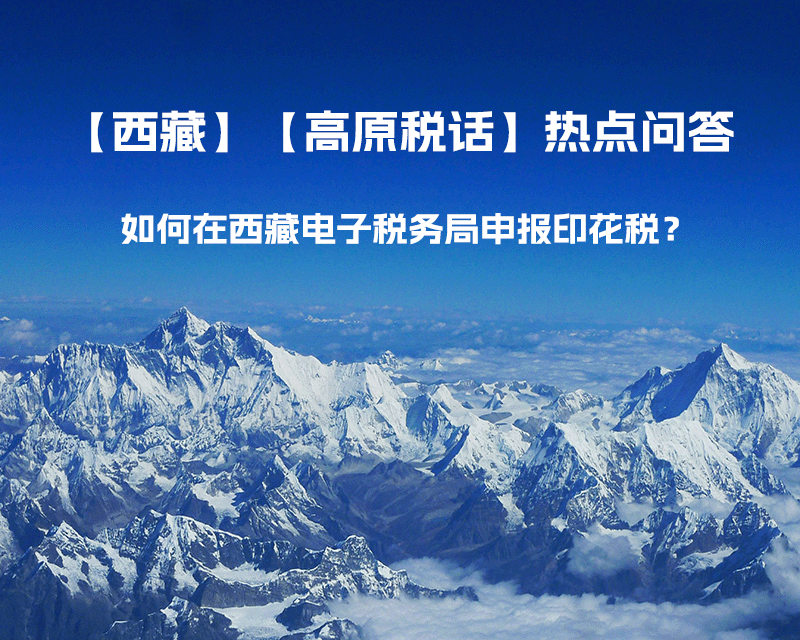 如何在西藏自治區(qū)電子稅務(wù)局申報(bào)印花稅？
