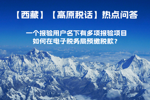 一個報驗用戶名下有多項報驗項目，如何在電子稅務(wù)局預(yù)繳稅款？