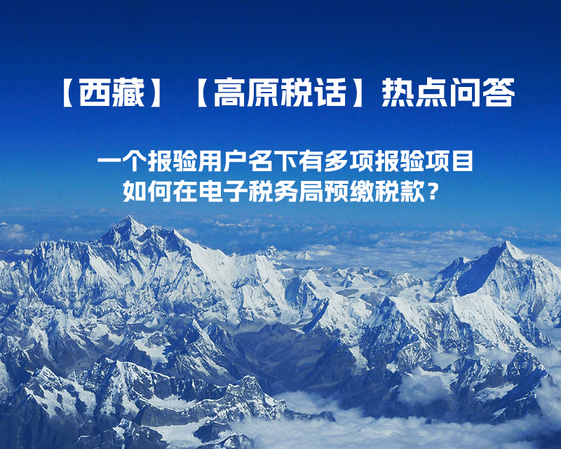 一個(gè)報(bào)驗(yàn)用戶名下有多項(xiàng)報(bào)驗(yàn)項(xiàng)目，如何在電子稅務(wù)局預(yù)繳稅款？