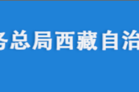 電腦更換后，自然人電子稅務(wù)局扣繳端申報收入額如何進行累計？
