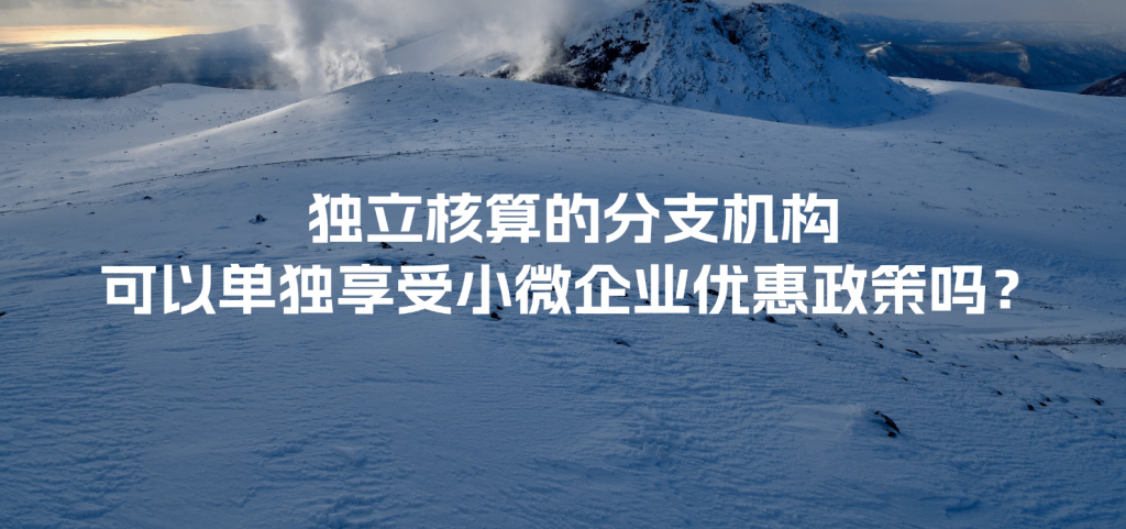 獨(dú)立核算的分支機(jī)構(gòu)可以單獨(dú)享受小微企業(yè)優(yōu)惠政策嗎？