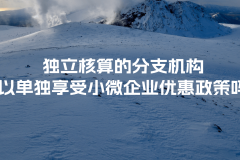 獨立核算的分支機構(gòu)可以單獨享受小微企業(yè)優(yōu)惠政策嗎？