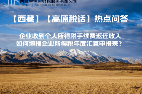 企業(yè)收到個人所得稅手續(xù)費返還收入，如何填報企業(yè)所得稅年度匯算申報表？