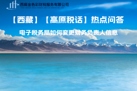 西藏電子稅務(wù)局如何變更財務(wù)負責(zé)人信息？