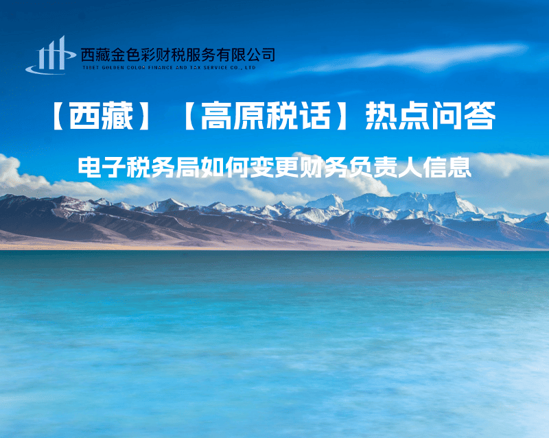 西藏電子稅務(wù)局如何變更財務(wù)負(fù)責(zé)人信息？